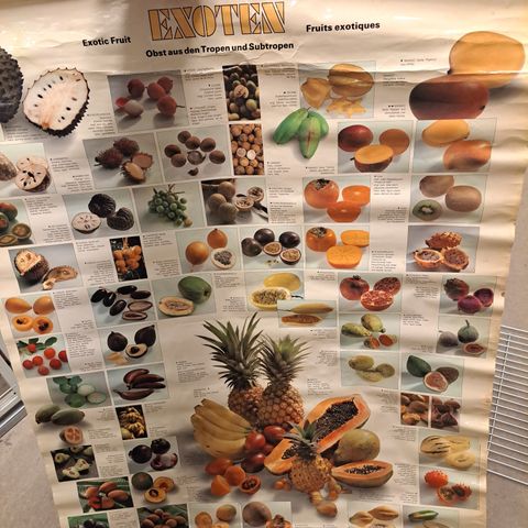 Plakat med eksotiske frukter