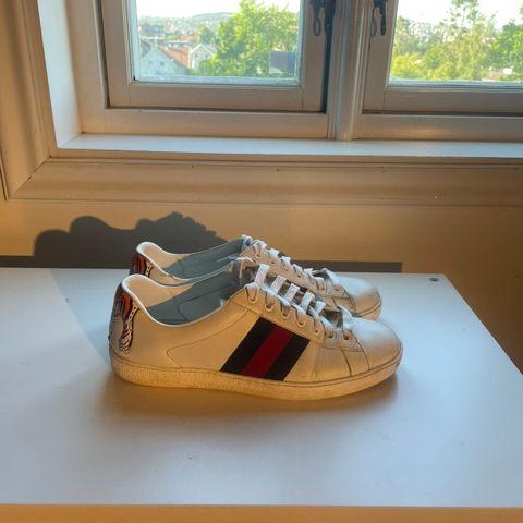 Gucci sneakers