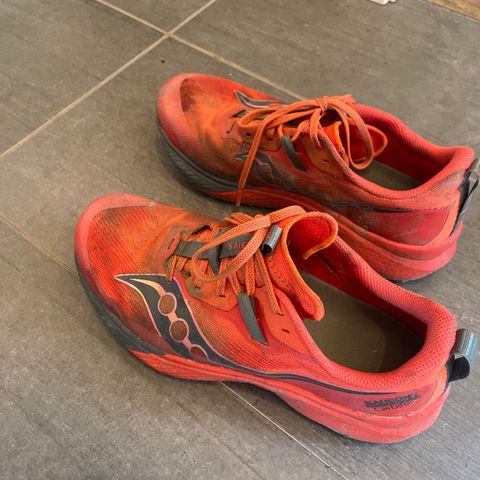 Saucony Endorphin Edge 43