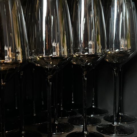 Magnor champagne glass