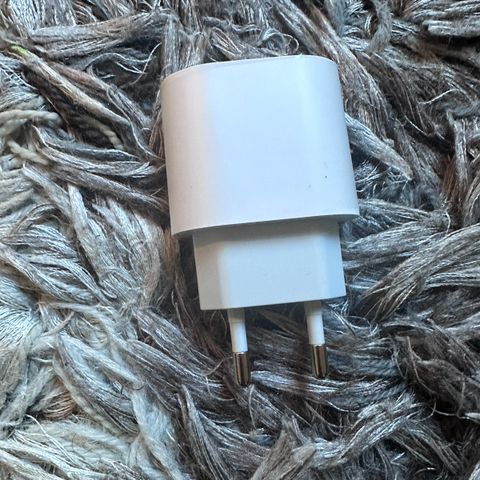 20W hurtig lader til iphone (Kun Hode) USB-C type