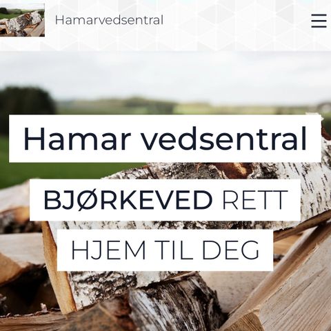 ‼️ BJØRK ‼️ www.HAMARVEDSENTRAL.no