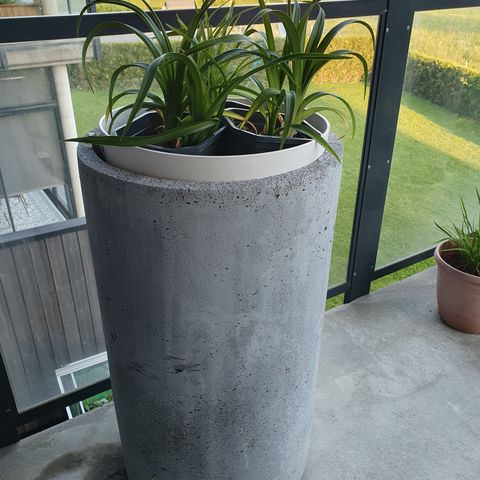 Blomster pot med planter