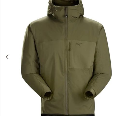 ArcTeryx Atom Hoody