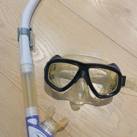 Dykkemaske og snorkel