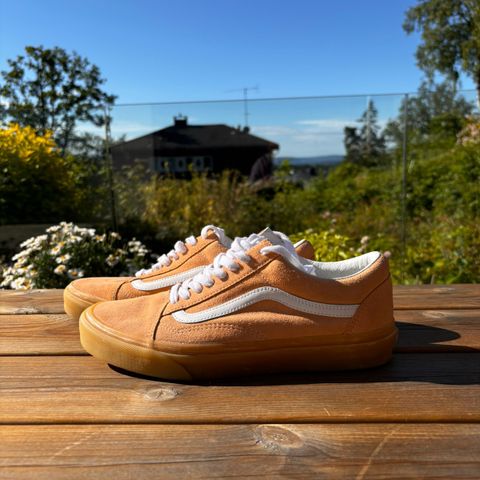 Sommerlige Vans sko