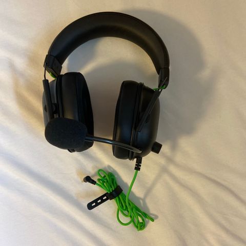 Razer headset