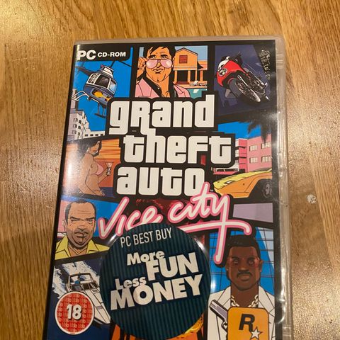 Grand theft auto vice city