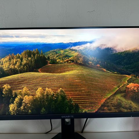 Gigabyte M28U 4k 144hz 1ms IPS