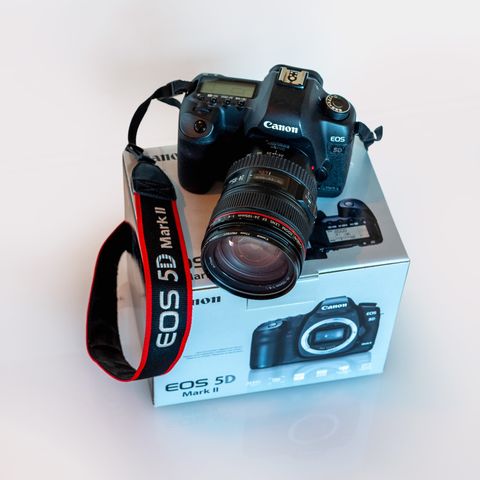 Canon 5D MKII, Canon EF 24-105mm f/4L USM, Canon Speedlite 430EX II