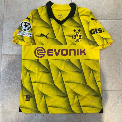 Dortmund 2023-24 drakt