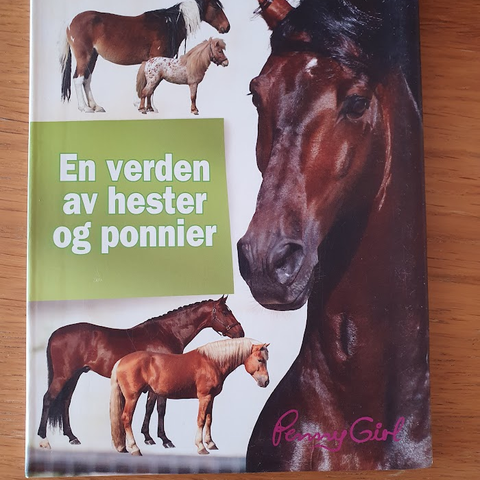 En verden av hester og ponnier