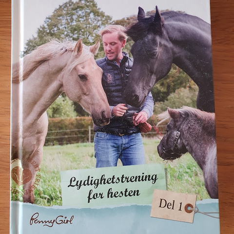 Lydighetstrening for hesten del 1-4