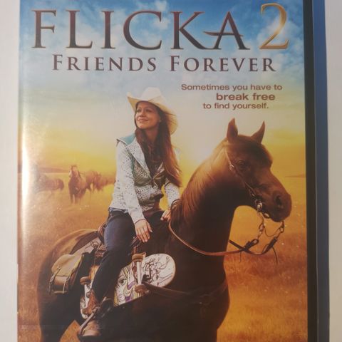 Flicka 2: Friends forever (DVD 2010, i plast)