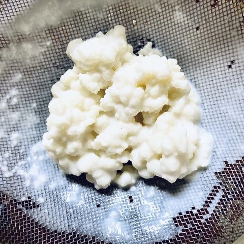 Melkekefir korn 100% Økologisk