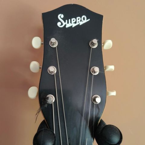 Vintage Supro Ozark