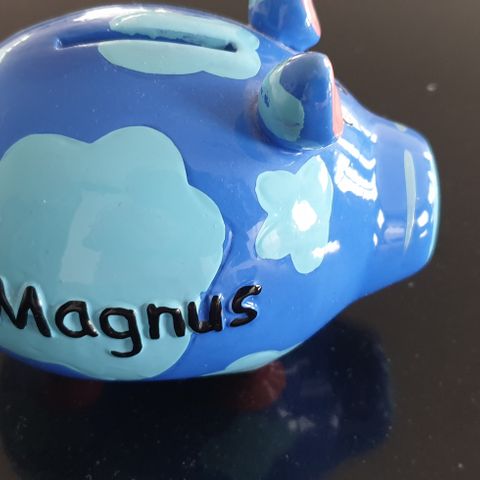 Sparegris Magnus