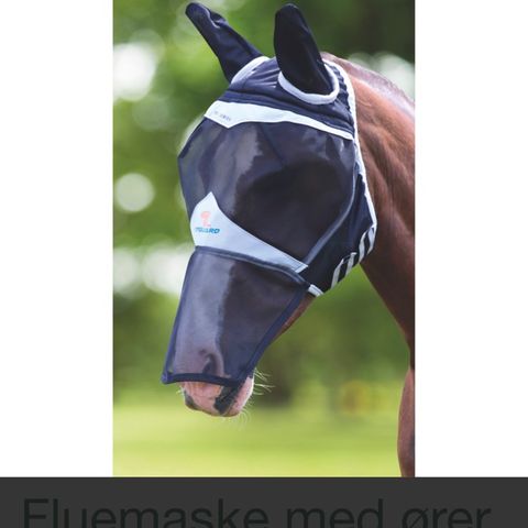 Fluemaske hest selges
