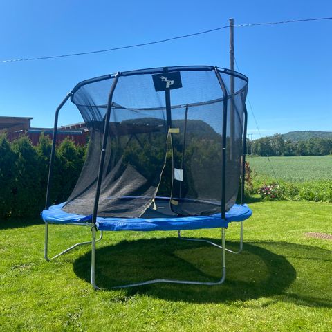 Pro Flyer Trampoline