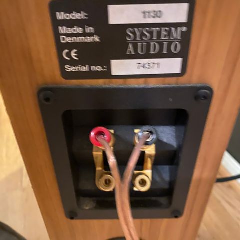 System Audio 1130 gulvstående