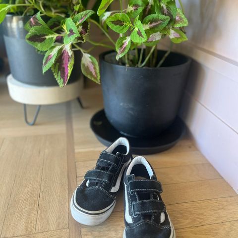 Vans sneakers med borrelås