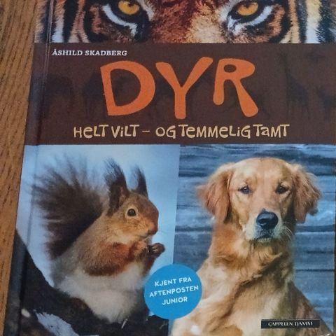 Ubrukt bok Dyr helt vilt og temmelig tamt