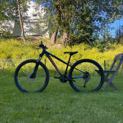 Cannondale Trail 5