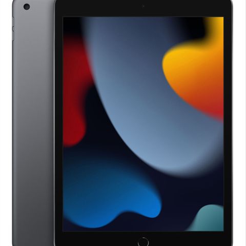 iPad 10,2" (2021) 64 GB WiFi (stellargrå)(niende, 9.)Garanti,Tastatur,Deksel