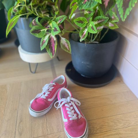 Vans sneakers rosa