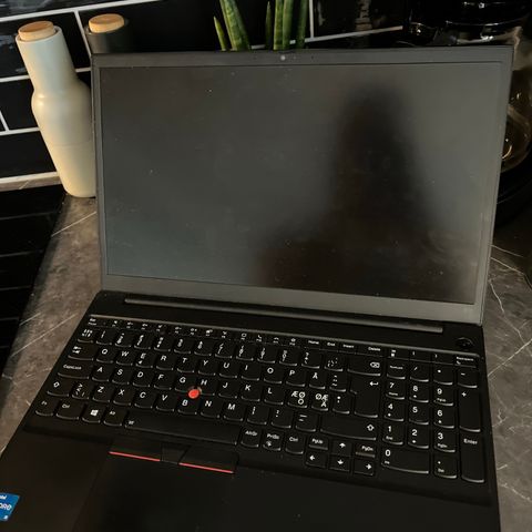 Thinkpad T490s