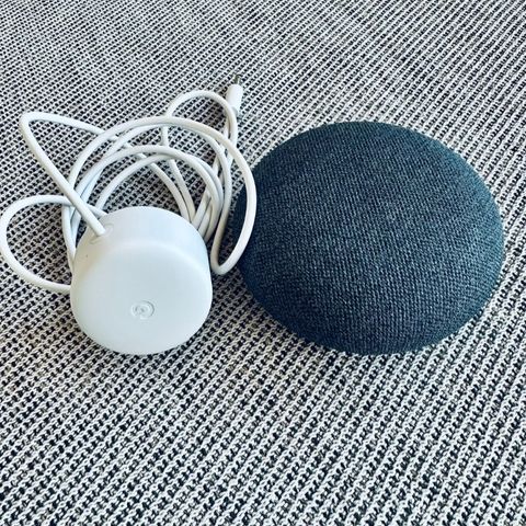 Google home mini