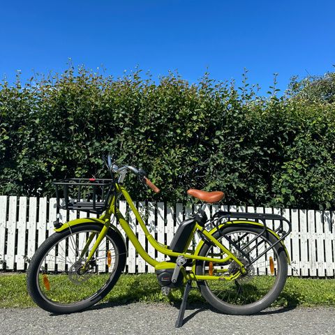 Benno Bikes eJoy Bosch 400Wh Performance Line Citron Green 2021