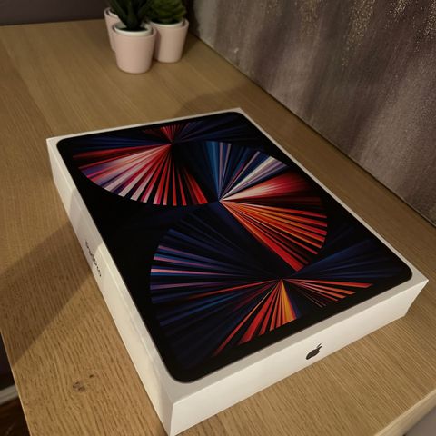 iPad Pro 12,9 M1 256GB WIFI+ 5G