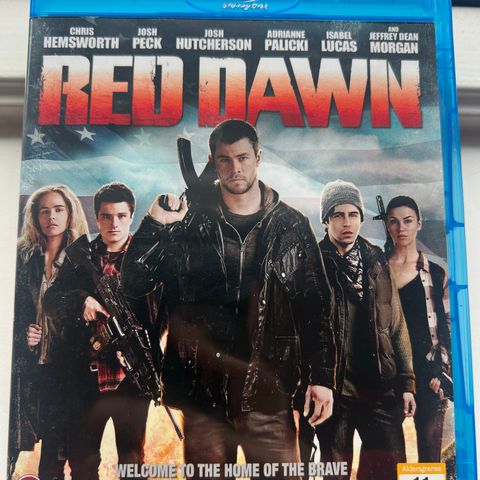 Red Dawn (2012) (BLU-RAY)