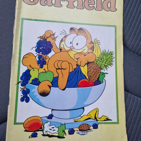 Garfield / pusur nr. 10 1987