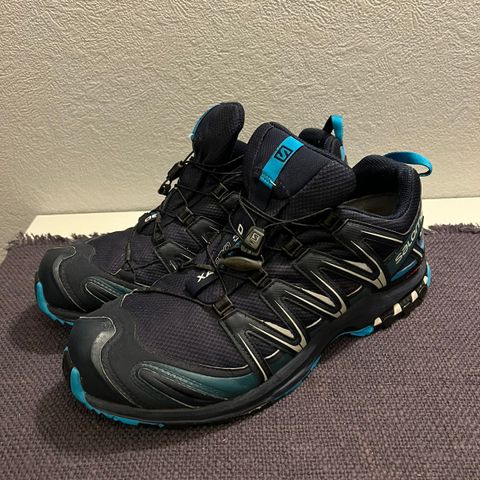 Salomon Xa Pro 3d