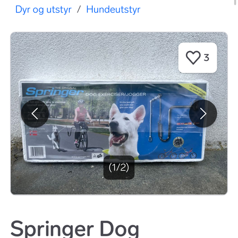 Springer til hund