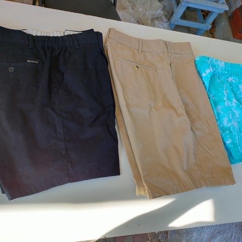 3 SOMMERSHORTS  L