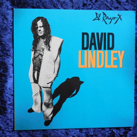 DAVID LINDLEY - EL RAYO X - HANS BESTE - MERCURY BLUES - JOHNNYROCK