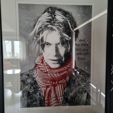 David Bowie, kunst av Liz Ravn