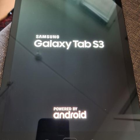 Samsung Galaxy tap s3