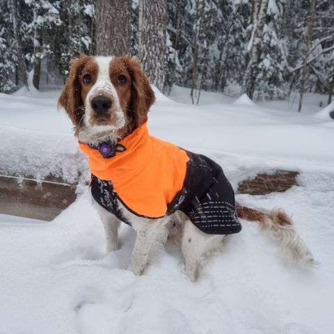 Non-stop fjord raincoat