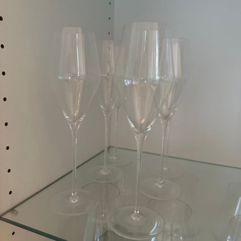 Zalto Champagneglass