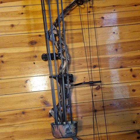 Grizzly compound bow