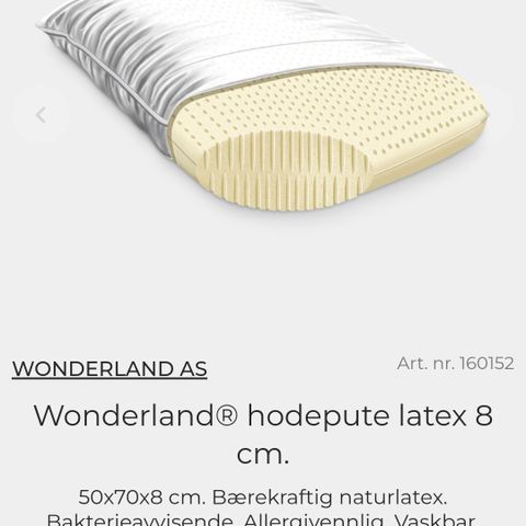 Latex hodepute Wonderland