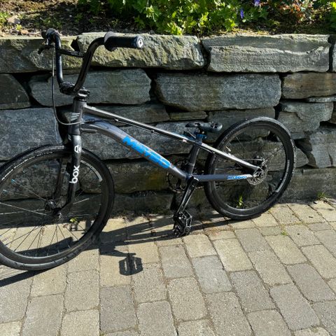 Maybo Expert XL BMX