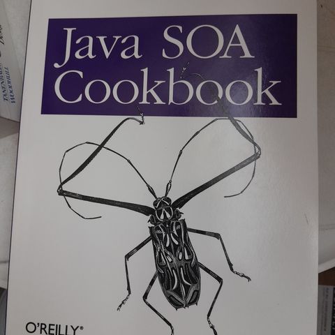 Java SOA Cookbook: SOA Implementation Recipes, Tips, and Techniques