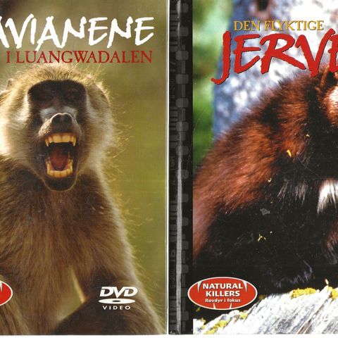 Natural Killers - Rovdyr i fokus   - 8 DVD i serien