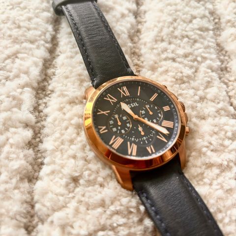 Flott Skagen Fossil klokke