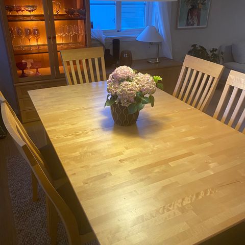 Spisebord med tilleggsplate og 10 stoler